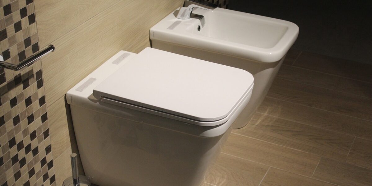 L’installation_de_toilettes_sèches_:_une_option_écologique_à_envisager_sérieusement