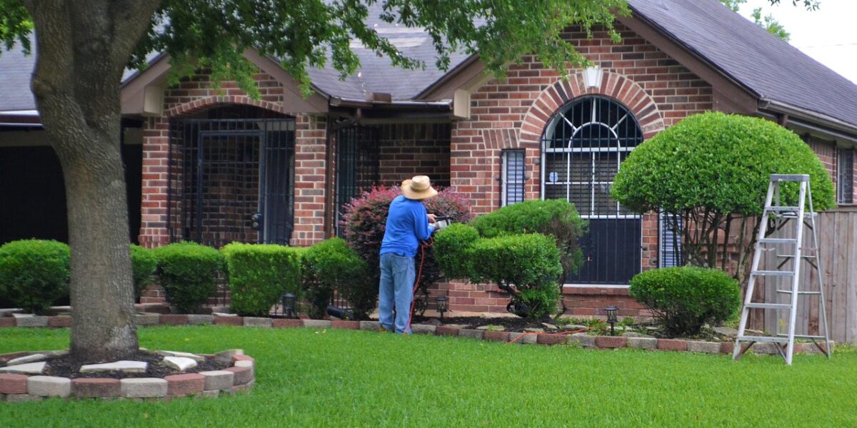 Un jardin posé en douceur : repenser son extérieur avec méthode